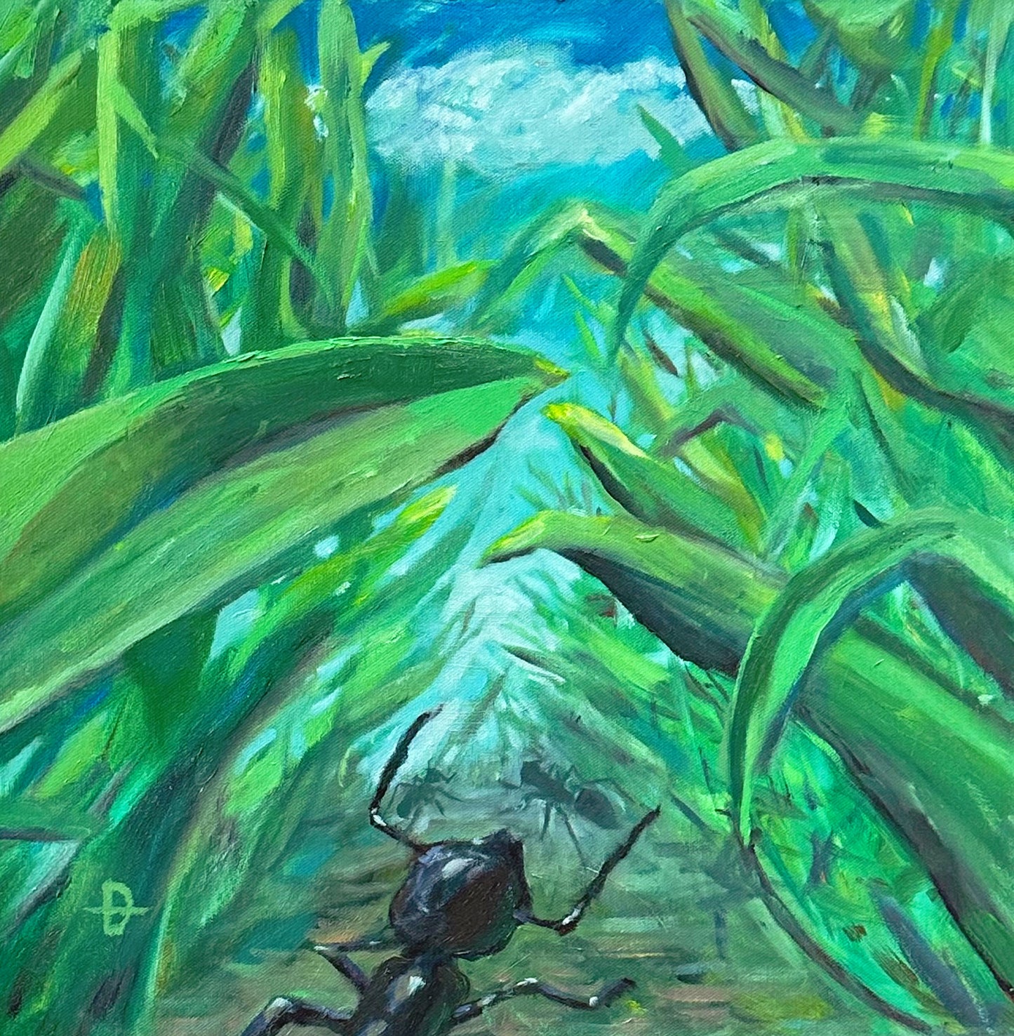 The Ant (Original)